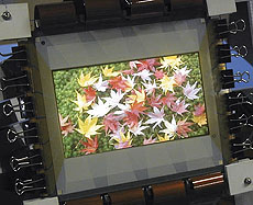 Прототип 6,5-дюймовой плазмы с самыми маленькими в мире ячейками (0,3 мм)